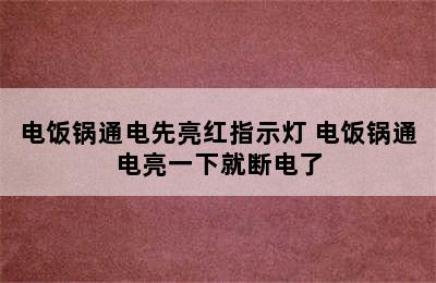 电饭锅通电先亮红指示灯 电饭锅通电亮一下就断电了